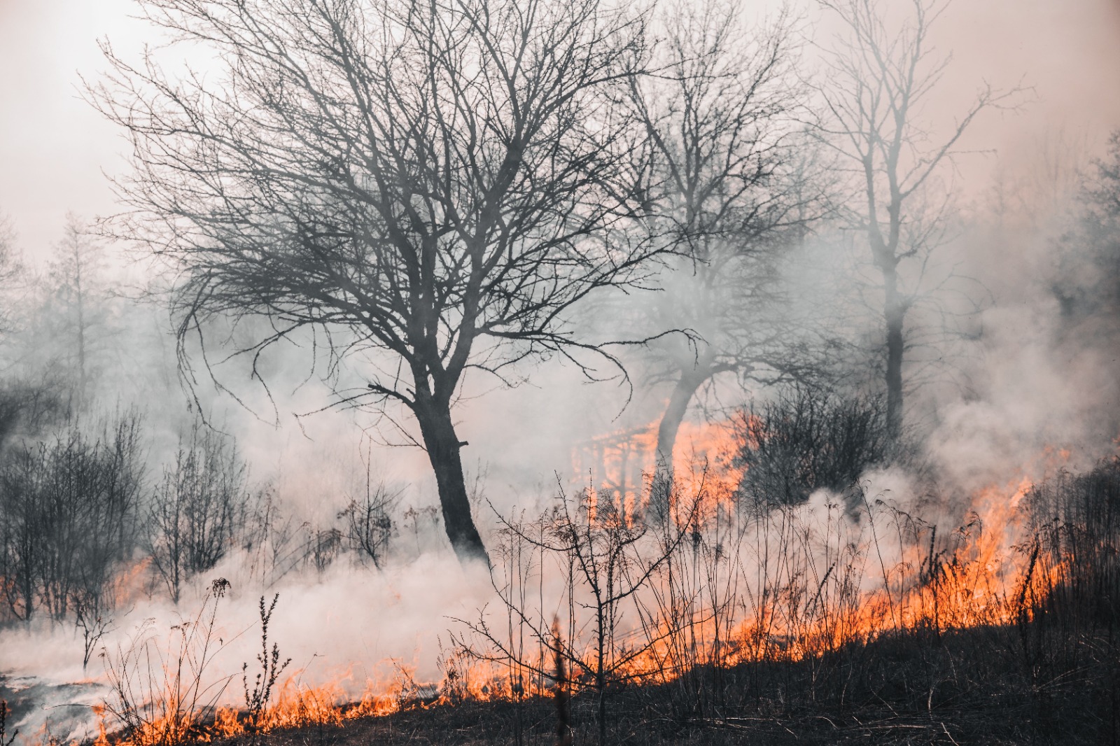 Conflict and Climate Risks Intensify Global Focus on Humanitarian Protection and Economic Resilience