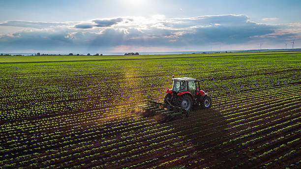 From Farmgate to Port: Building Bankable Agro-Export Supply Chains